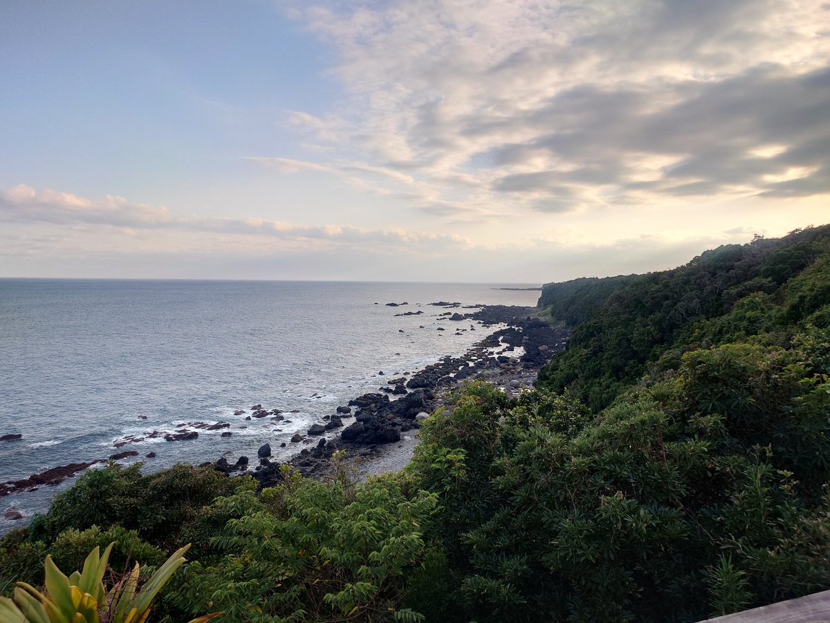 金田泰裕 (yasuhirokaneda STRUCTURE) tweet media