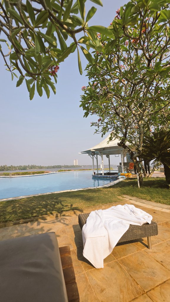 BIG Dispa tweet media