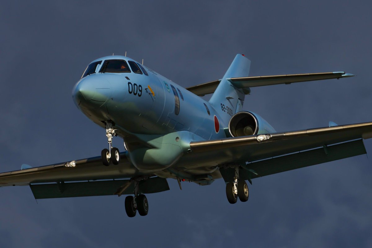 しまかぜ tweet media