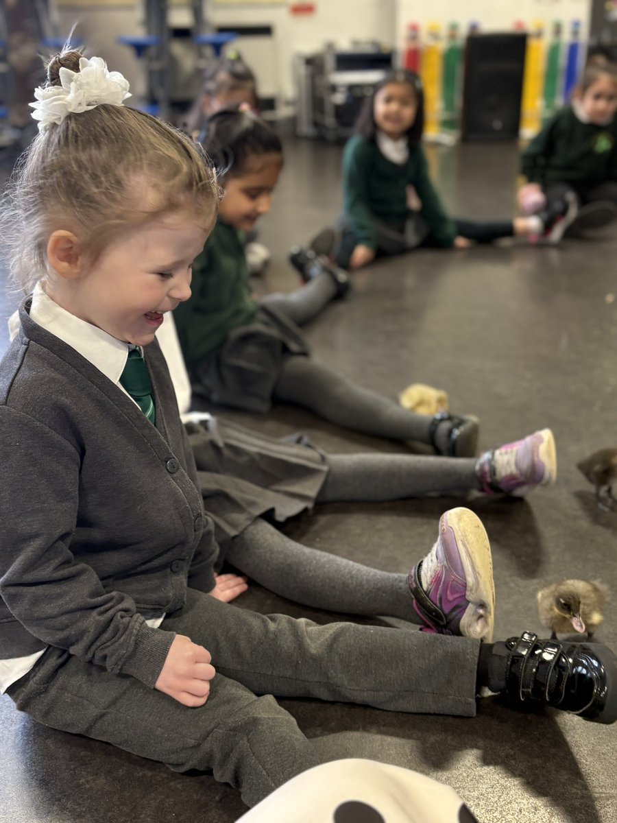 St Patrick's Primary tweet media