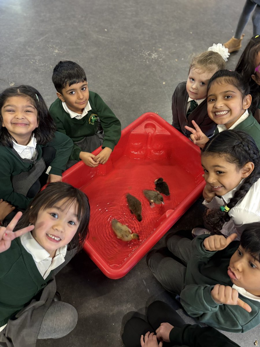 St Patrick's Primary tweet media