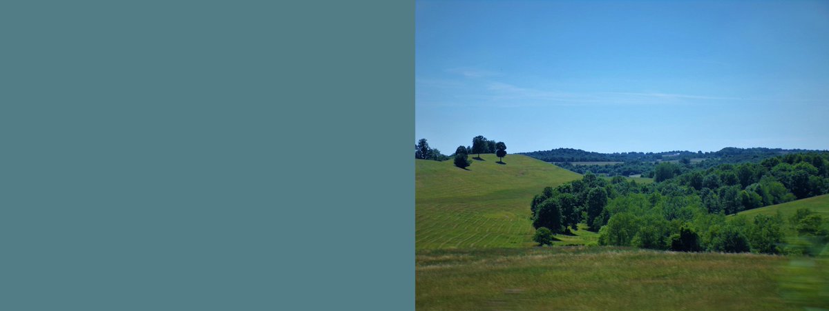 Dan Groshev tweet media