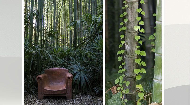 Revue_Photo's tweet photo. Deux Images, un Regard : Le Diptyque à l’Honneur
"Deux Images, un Regard : Le Diptyque à l'honneur," par le Club de l'Image de Prades le Lez 
https://t.co/IjuOfYQ23M https://t.co/Oezbu14BzA