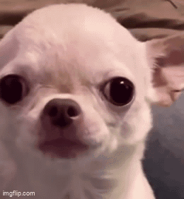 MintStars tweet media