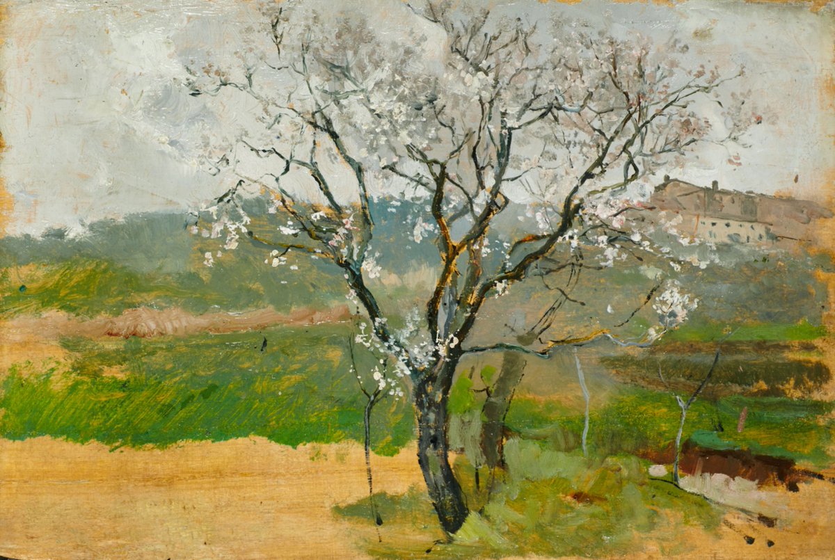 Pedro Lalanda tweet media