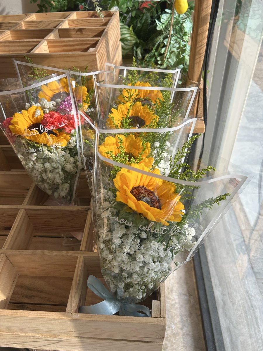 dwsptqum's tweet photo. Bunga di bukit bintang 🌷🌷 https://t.co/tOY6SFt1gt