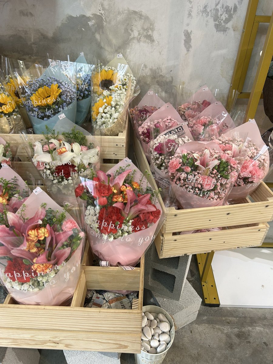 dwsptqum's tweet photo. Bunga di bukit bintang 🌷🌷 https://t.co/tOY6SFt1gt