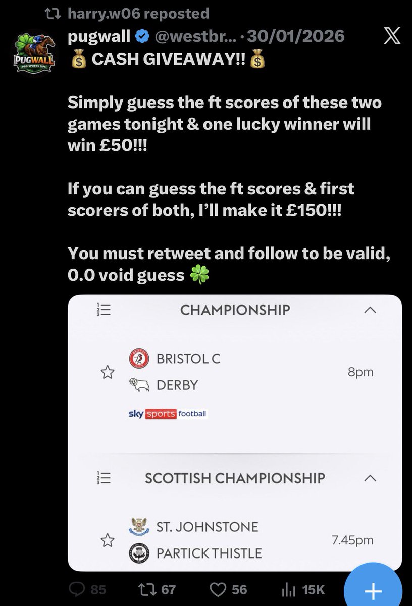 tomos🦉🇩🇰 tweet media