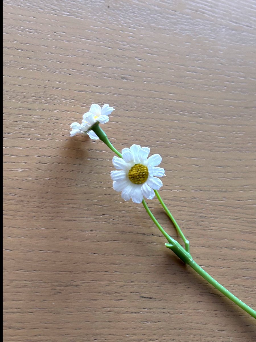 rowan updates 🌱 tweet media