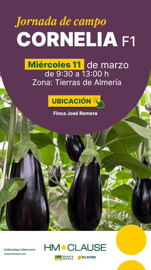 FHALMERÍA 🌱 tweet media