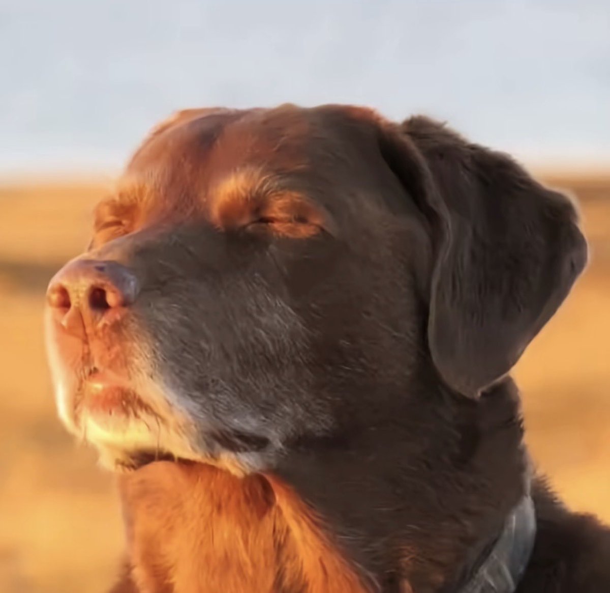 𝓝𝓲𝓵 🩺 tweet media