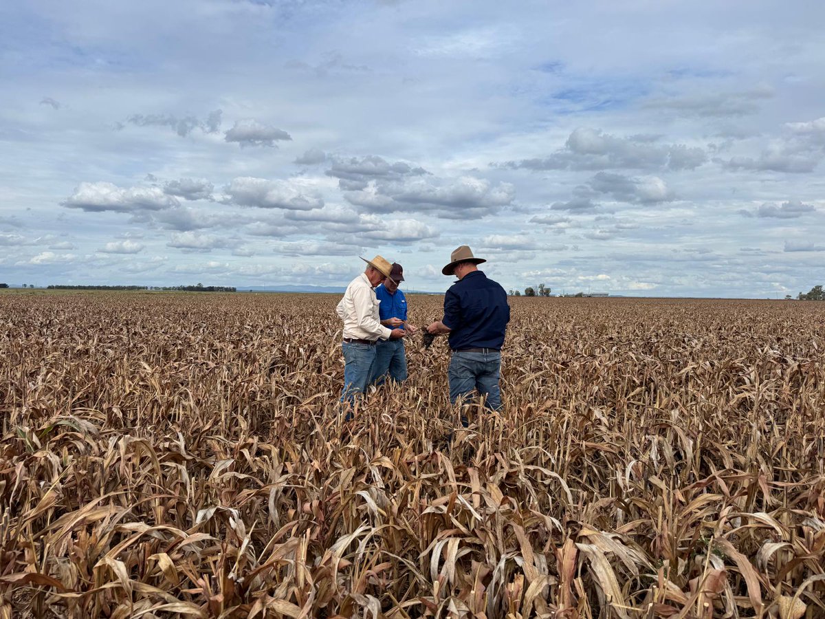 SwarmFarm Robotics tweet media