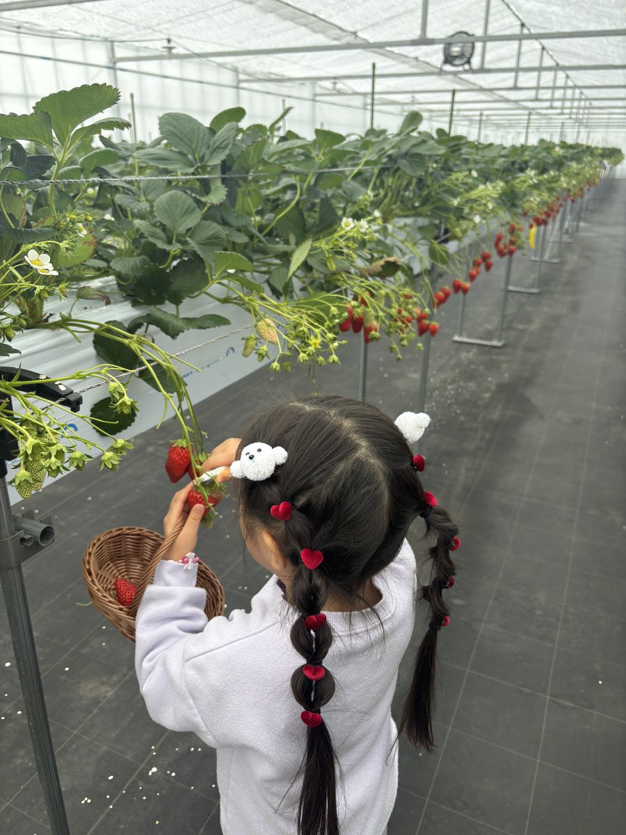 ﾔﾏｼﾞ tweet media