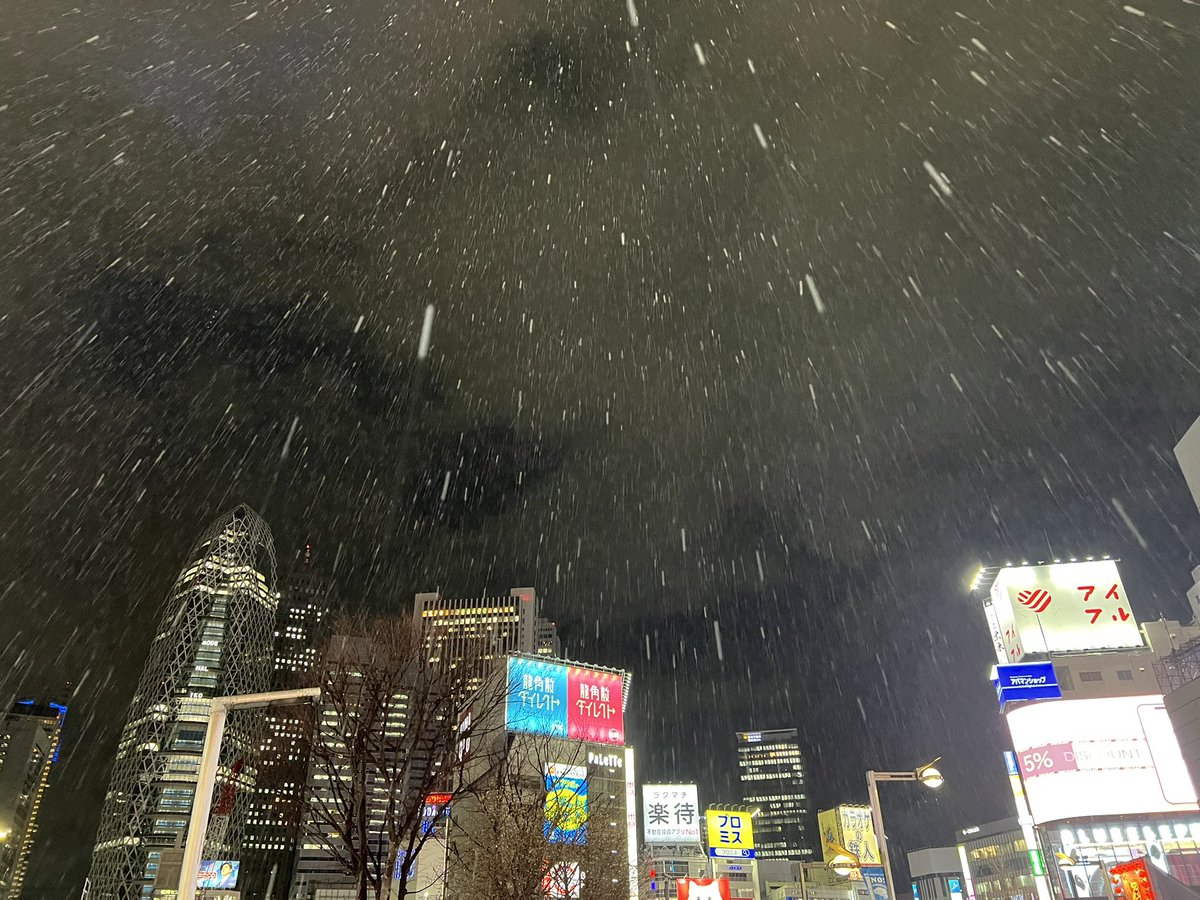 けたろ〜@nainaiboys(5/23昼ソロワンマン@代々木labo) tweet media