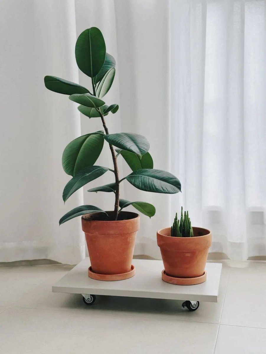 Brian Shannon, CMT /secretary tweet media