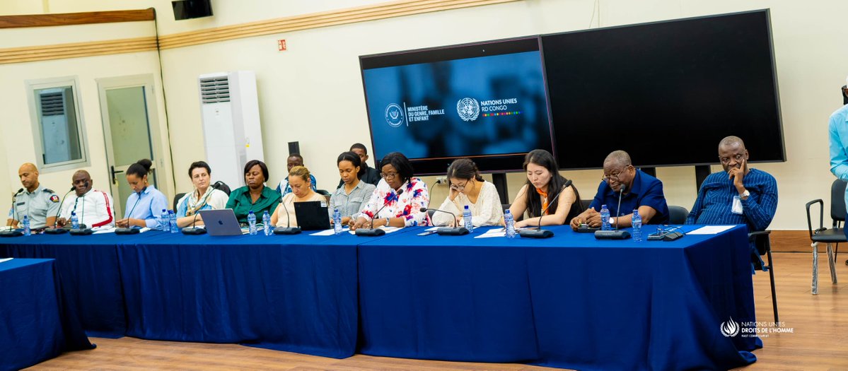 UN Human Rights DRC tweet media