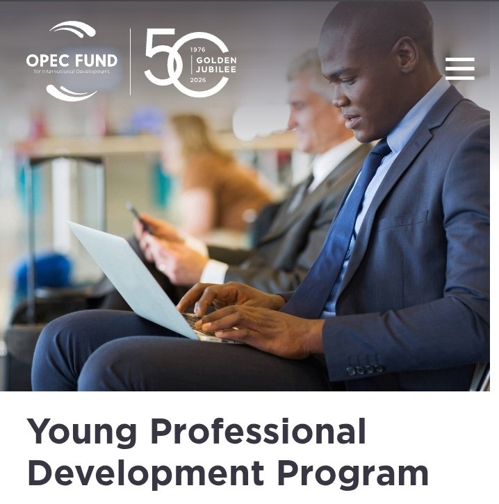 Yoruba.ProfessionalNetwork tweet media