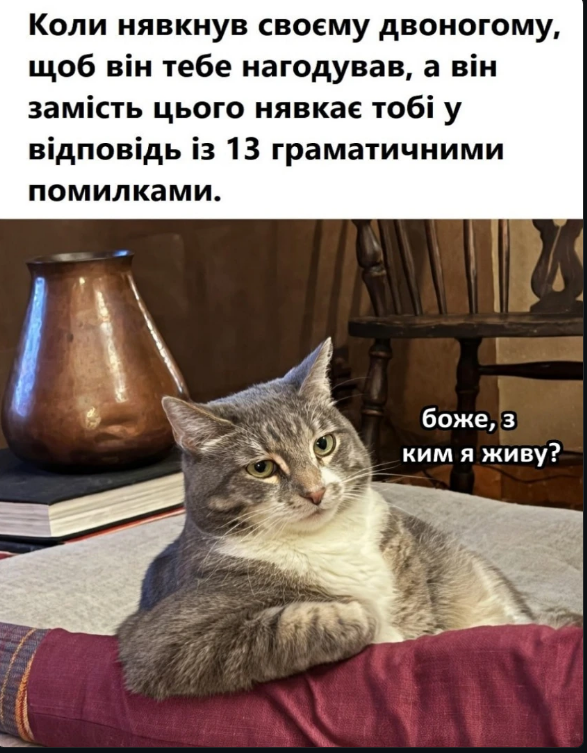 хтоня?🇺🇦🏳️‍🌈🏳️‍⚧️ tweet media