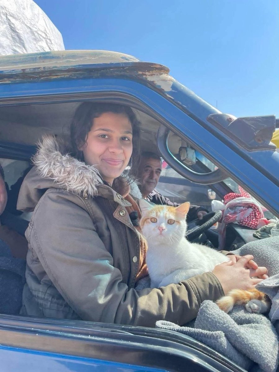 Pisîka Efrînê vegerya warê xwe

Tê gotin ku ev pisîka bedew sala 2018an piştî dagirkirina Efrînê, tevî malbata xwe ya kurd ji Efrînê derketiye û piştî heşt salên derbederiyê, duh tevî çar sed malbatên din vegeryane ser mal û milkên xwe yên talankirî û wêranbûyî.
Welat şirîn e.