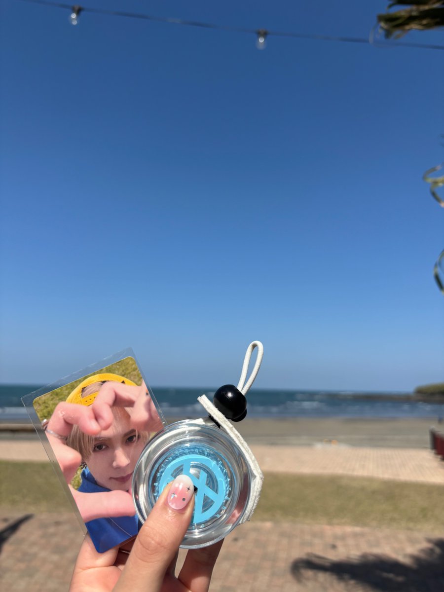 とるごれ🐬 tweet media