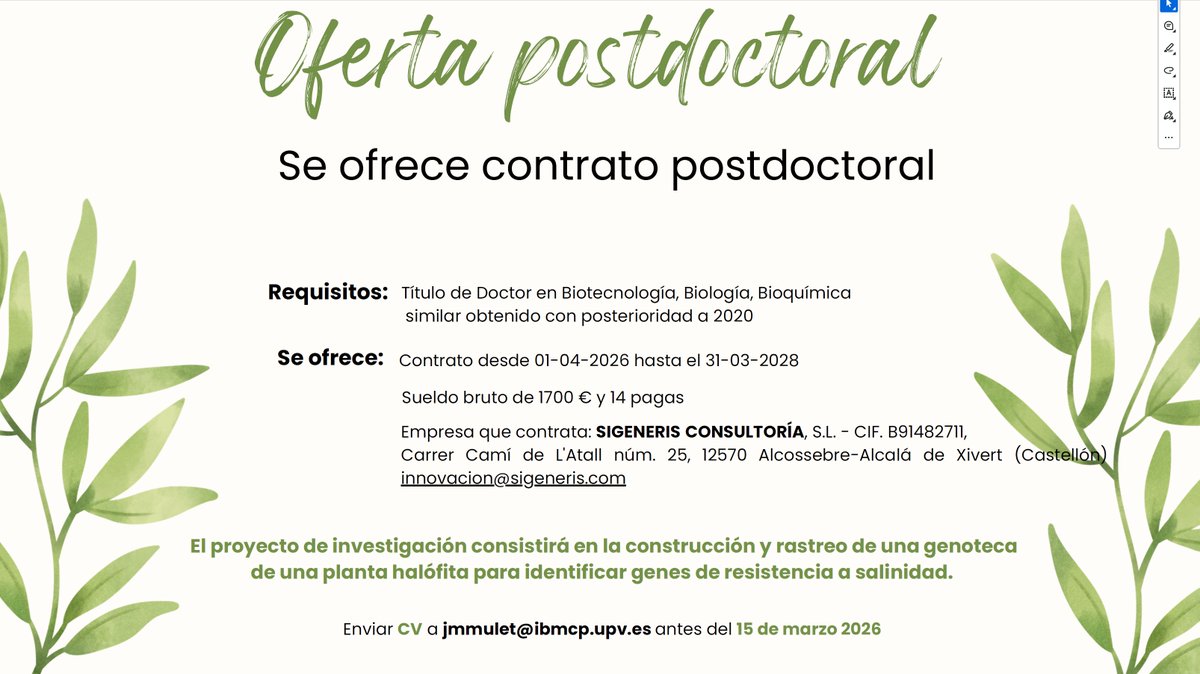 Rosa Porcel 🌿🌺 tweet media