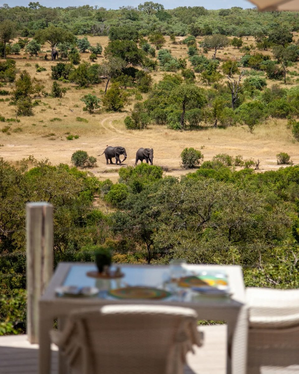 TravelAdvisor8's tweet photo. Cocktail hour with a view...

In the bush, even an ordinary moment can feel extraordinary - that is the magic of an untouched landscape.

#leopardhills 
#thetraveladvisor https://t.co/yYmDTTyKyy