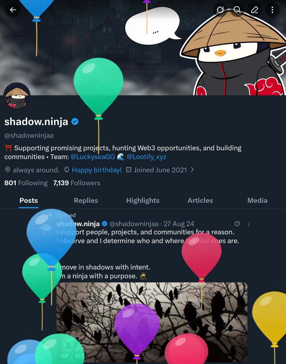 shadow.ninja tweet media