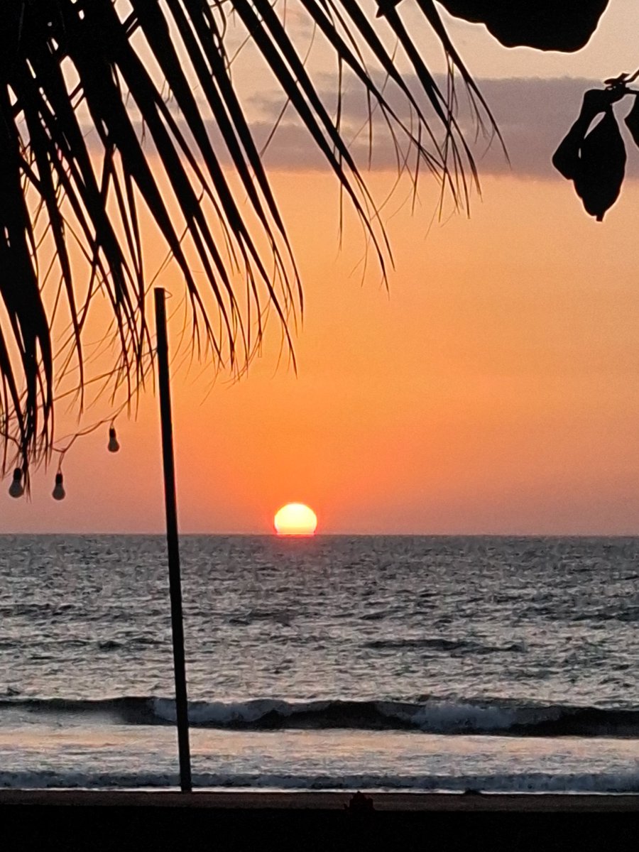 BestUNCLE♠️ tweet media