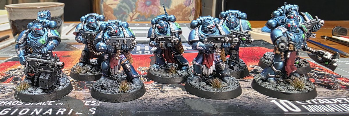 Grey Fox tweet media