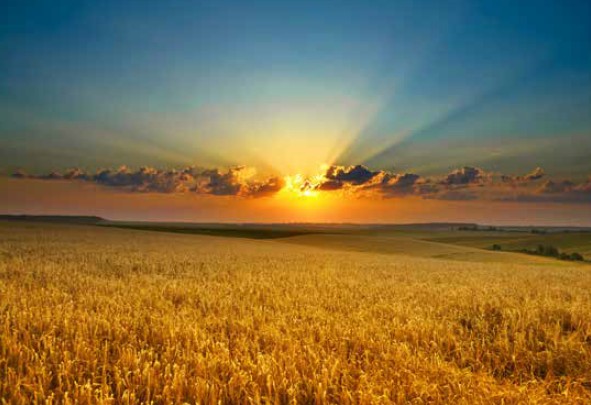 biofuelsmag's tweet image. #VARO has become one of Europe’s largest feedstock co-processors. Read our feature on how this happened last year.
biofuels-news.com/news/varo-beco…
#biofuels #feedstock #biodiesel #bioethanol