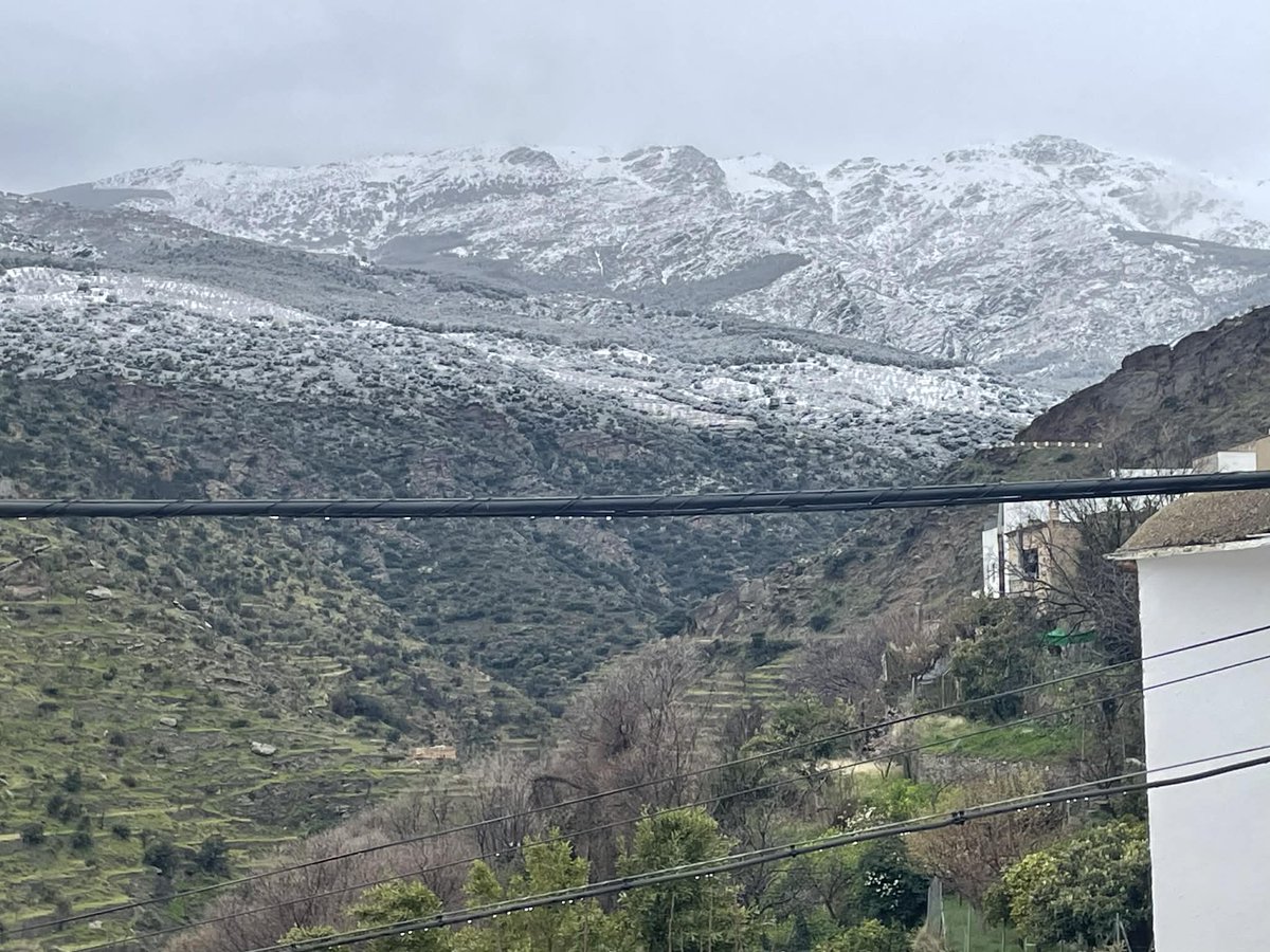 Vigorro... tweet media