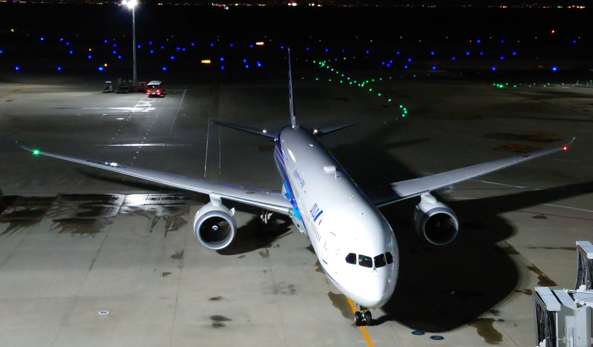 きっしー tweet media