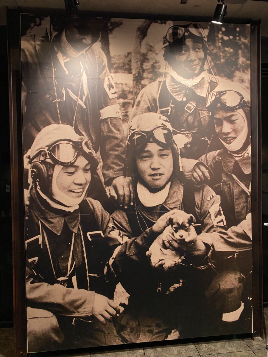 Sleep Deeply＠日本一周中 tweet media