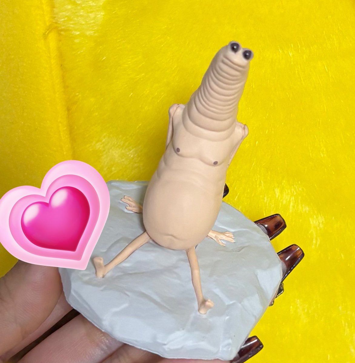 しゃけ丸_salmona mignon tweet media