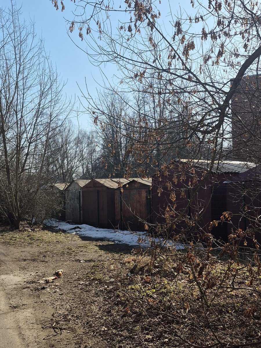 Sandra Briede tweet media