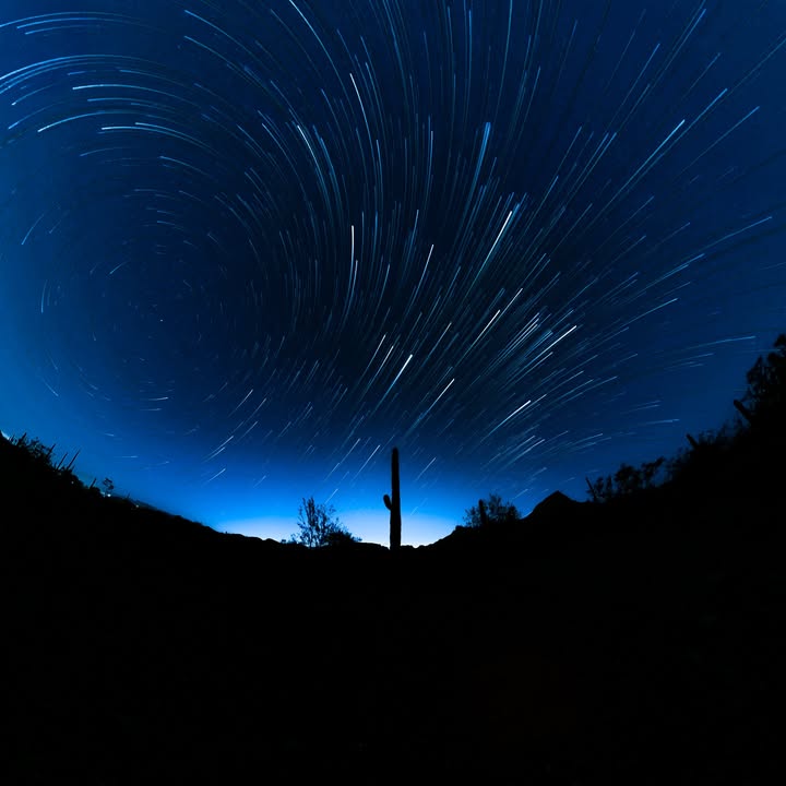 GoPro Japan tweet media