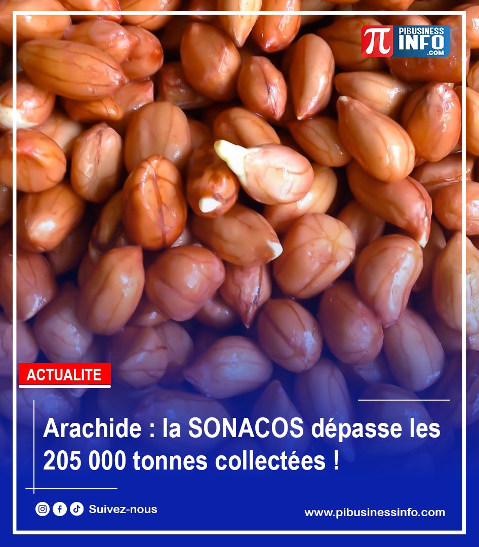 business_p11863's tweet image. Arachide : la SONACOS dépasse les 205 000 tonnes collectées !

Regardez la vidéo en intégralité ➡️ youtu.be/43YcJOSgF5I?si…

#Sénégal #Arachide #Agriculture #Sonacos #Économie #PiBusinessInfo