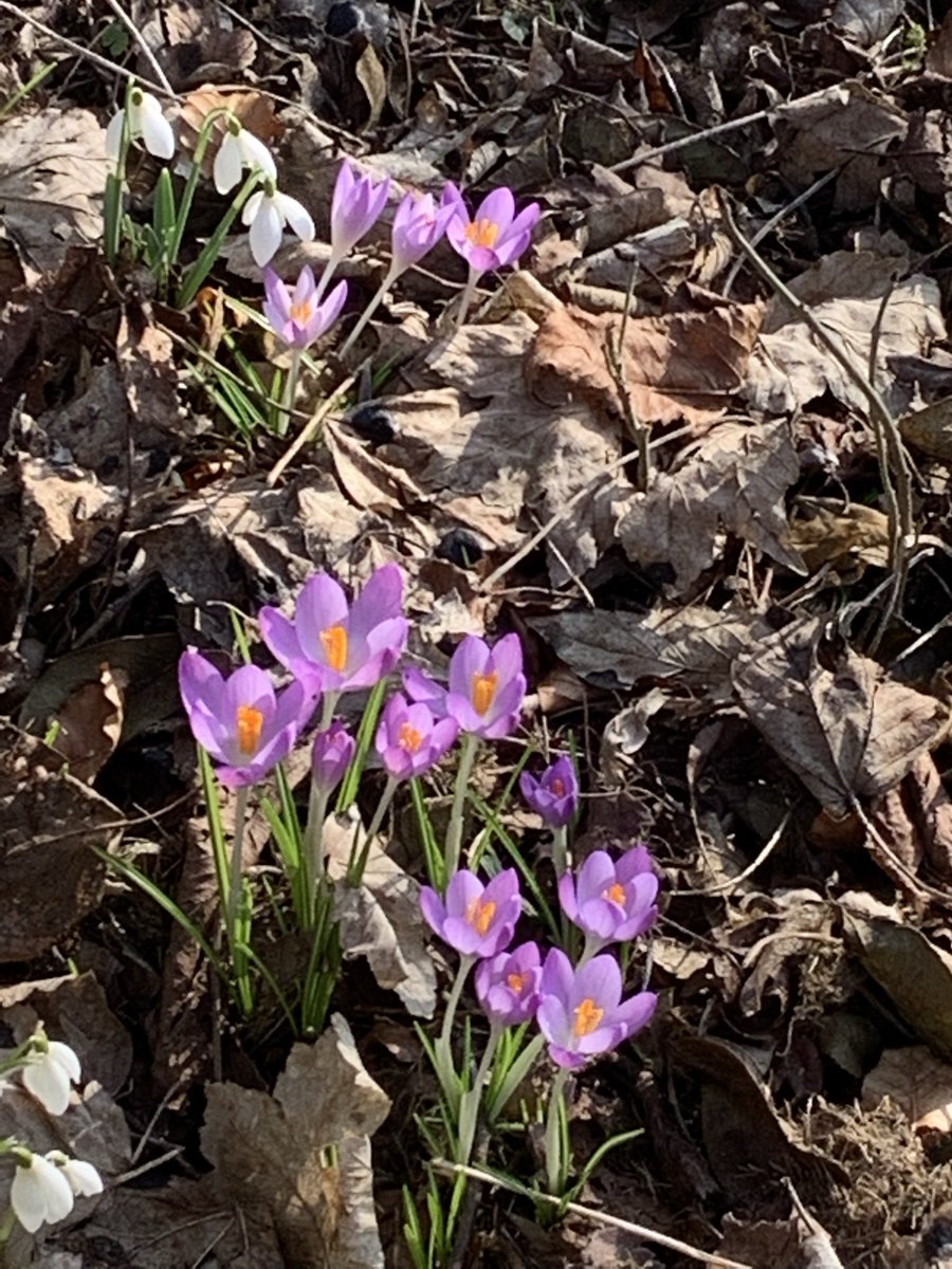 Holly M. Boydell tweet media