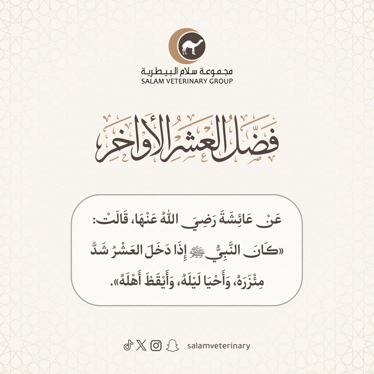 مجموعة سلام البيطرية tweet media