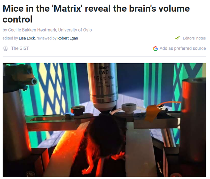 Koen Vervaeke just released an experiment TODAY on mice called 