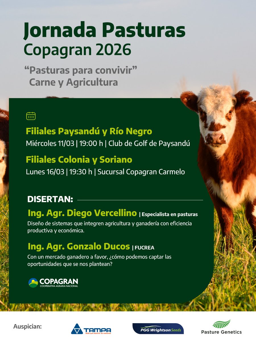 juan ignacio buffa tweet media