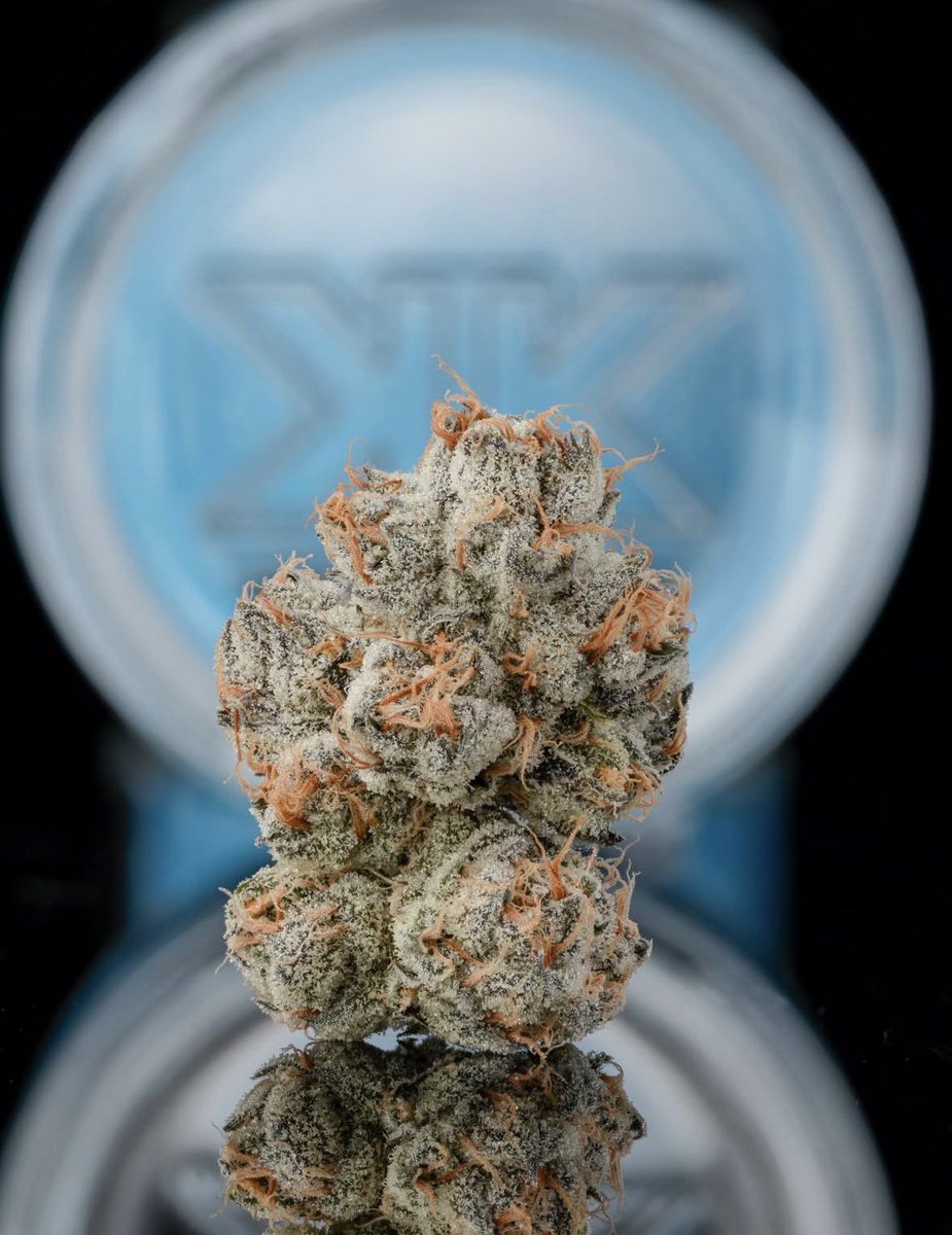 Khalifa Kush tweet media