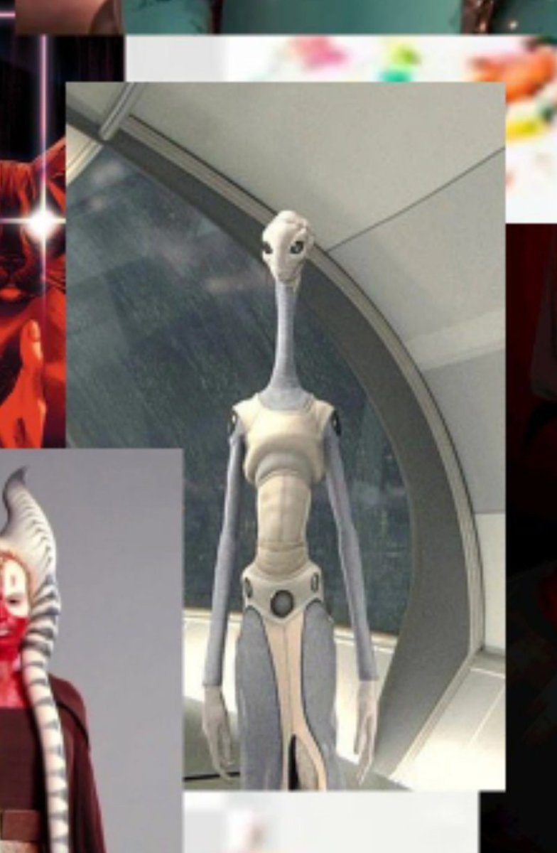 centa segundaria de fony 💫 tweet media