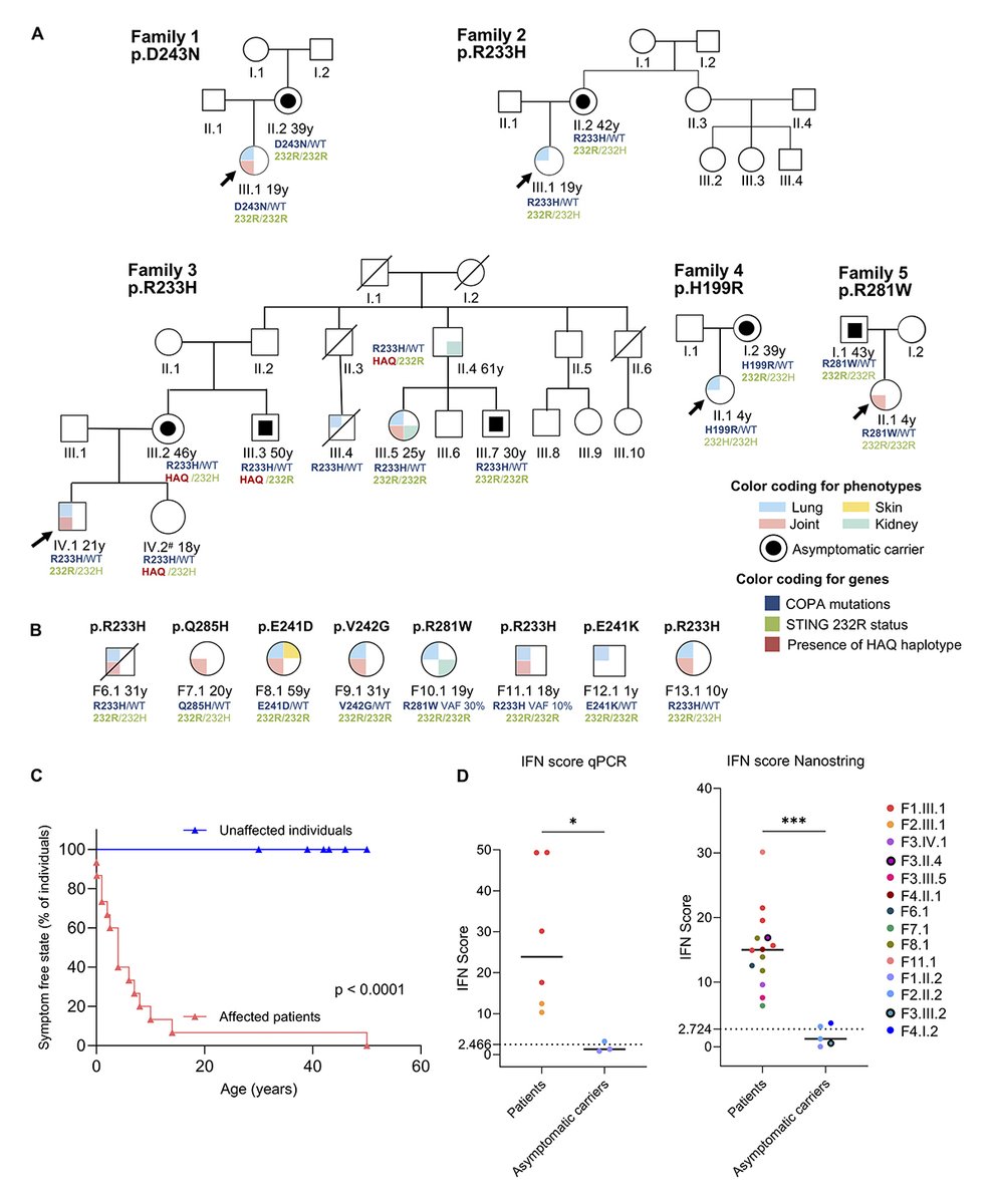 Journal of Experimental Medicine tweet media