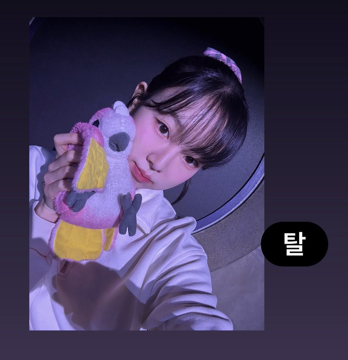 아지🐶 tweet media