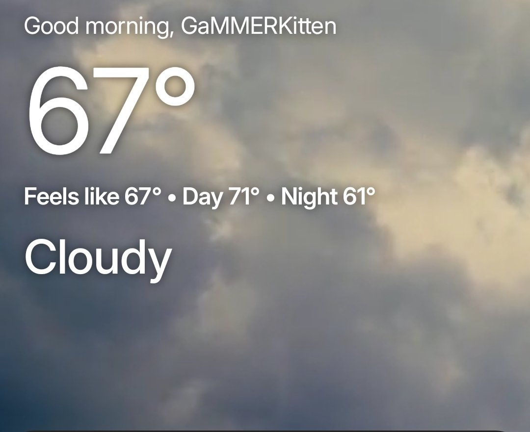 Kitten (@GaMMERKitten) / Posts / X