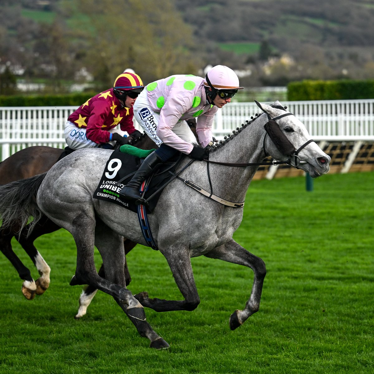 AtTheRaces's tweet photo. 🥇 Triumph Hurdle
🥇🥇  Mares' Hurdle
🥇 Champion Hurdle

Lossiemouth - a true #CheltenhamFestival great! https://t.co/RhQMK2bcZG