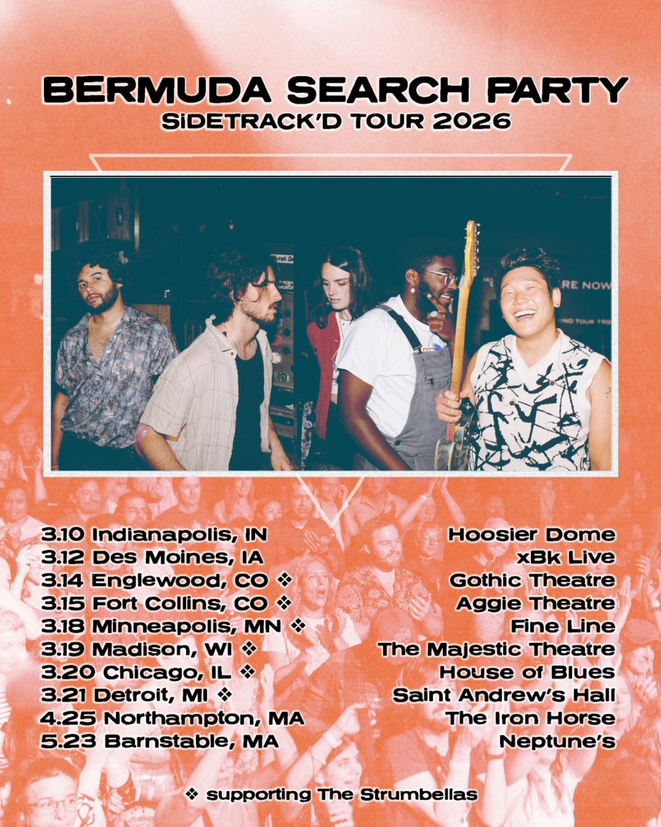 Bermuda Search Party tweet media