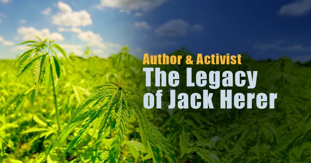 Adam Tschorn tweet media