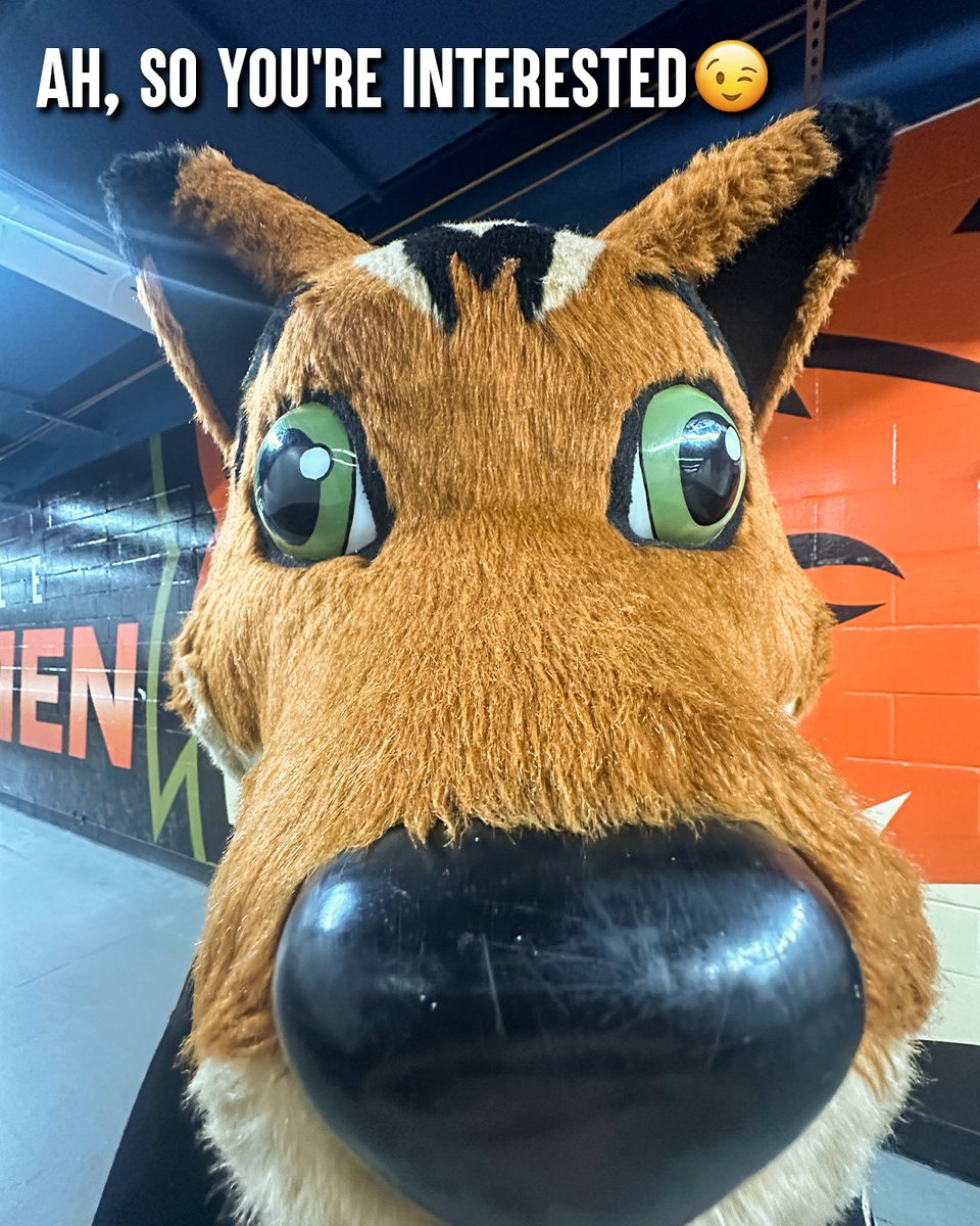 Fayetteville Marksmen tweet media